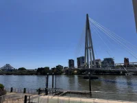 IMG_9487.webp IMG_9487.webp