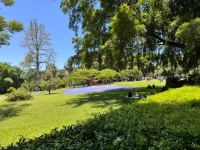 IMG_9499.webp IMG_9499.webp