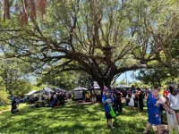 IMG_9500.webp IMG_9500.webp