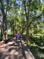 IMG_9497.webp IMG_9497.webp