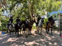 IMG_9512.webp IMG_9512.webp