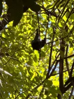 IMG_9505.webp IMG_9505.webp