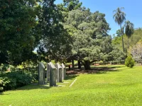 IMG_9502.webp IMG_9502.webp