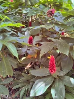 IMG_9507.webp IMG_9507.webp