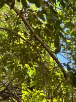 IMG_9503.webp IMG_9503.webp