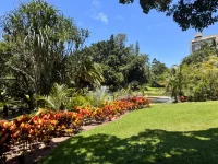 IMG_9509.webp IMG_9509.webp