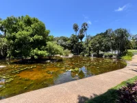 IMG_9510.webp IMG_9510.webp