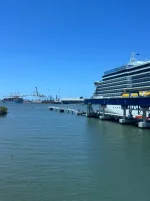 IMG_9513.webp IMG_9513.webp