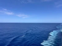 IMG_9528.webp IMG_9528.webp