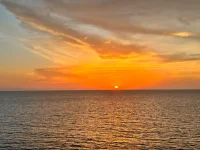 IMG_9536.webp IMG_9536.webp