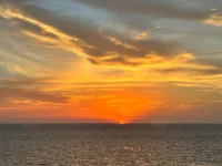 IMG_9540.webp IMG_9540.webp