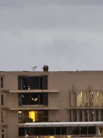 IMG_9205.webp IMG_9205.webp