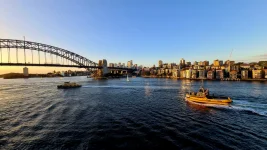 20260123_093538.webp 20260123_093538.webp