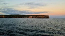 20260123_100319.webp 20260123_100319.webp