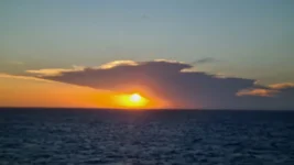 20260125_092903.webp 20260125_092903.webp