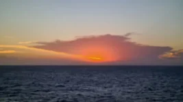 20260125_093720.webp 20260125_093720.webp