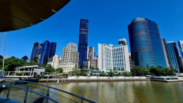 20260126_005601.webp 20260126_005601.webp