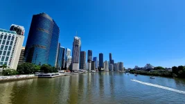 20260126_005613.webp 20260126_005613.webp