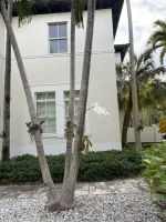 WhatsApp Image 2026-01-26 at 19.51.06.webp