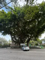 WhatsApp Image 2026-01-26 at 19.50.32.webp