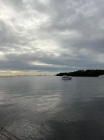 WhatsApp Image 2026-01-26 at 19.50.33.webp