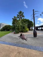 IMG_9578.webp IMG_9578.webp