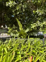 IMG_9584.webp IMG_9584.webp