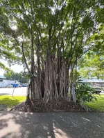 IMG_9586.webp IMG_9586.webp