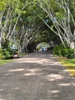 IMG_9588.webp IMG_9588.webp