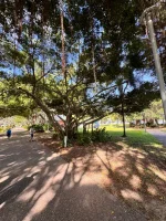 IMG_9589.webp IMG_9589.webp