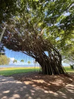 IMG_9590.webp IMG_9590.webp