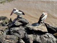 IMG_9594.webp IMG_9594.webp