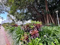 IMG_9612.webp IMG_9612.webp