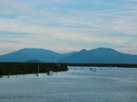 IMG_4340.webp IMG_4340.webp