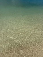 WhatsApp Image 2026-01-30 at 20.46.32.webp