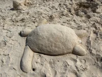 WhatsApp Image 2026-01-30 at 20.46.32 (1).webp