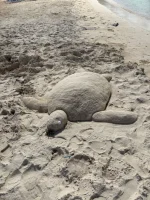 WhatsApp Image 2026-01-30 at 20.46.32 (2).webp