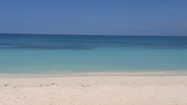 17698726480038429996775483139078.webp 17698726480038429996775483139078.webp