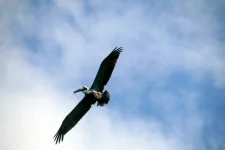 IMG_1646.webp IMG_1646.webp