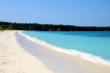 IMG_1701.webp IMG_1701.webp