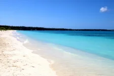 IMG_1704.webp IMG_1704.webp