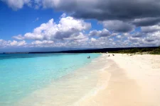 IMG_1708.webp IMG_1708.webp