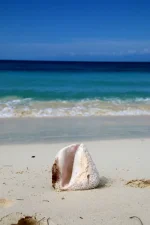 IMG_1756.webp IMG_1756.webp