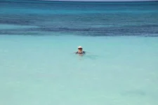 IMG_1734.webp IMG_1734.webp