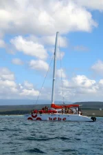 IMG_1693.webp IMG_1693.webp