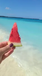 IMG-20260131-WA0031.webp IMG-20260131-WA0031.webp