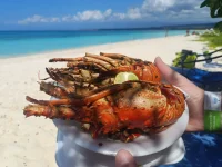 IMG-20260131-WA0025.webp IMG-20260131-WA0025.webp