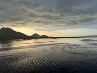 IMG_9721.webp IMG_9721.webp