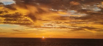 WhatsApp Image 2026-02-02 at 09.51.57.webp