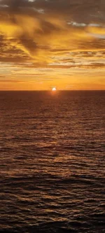 WhatsApp Image 2026-02-02 at 09.51.58.webp